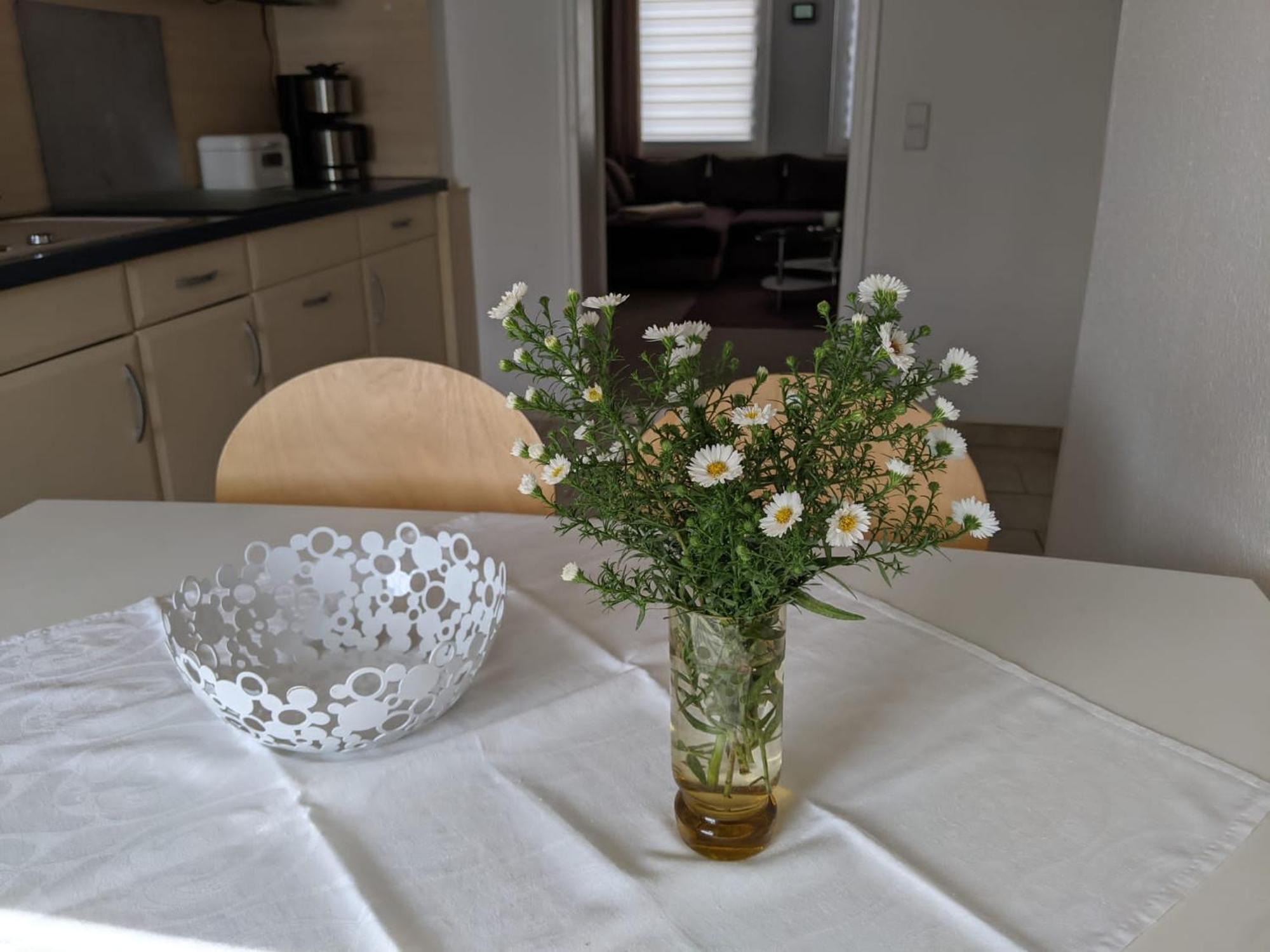 Ferienwohnung Am Ueckerpark Ueckermünde Eksteriør bilde
